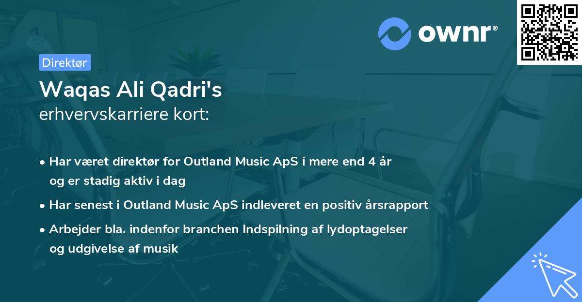 Waqas Ali Qadri's erhvervskarriere kort