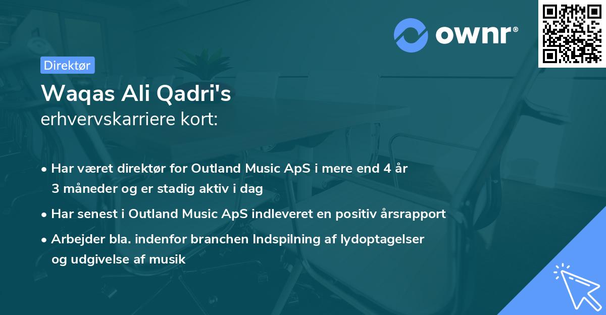 Waqas Ali Qadri's erhvervskarriere kort