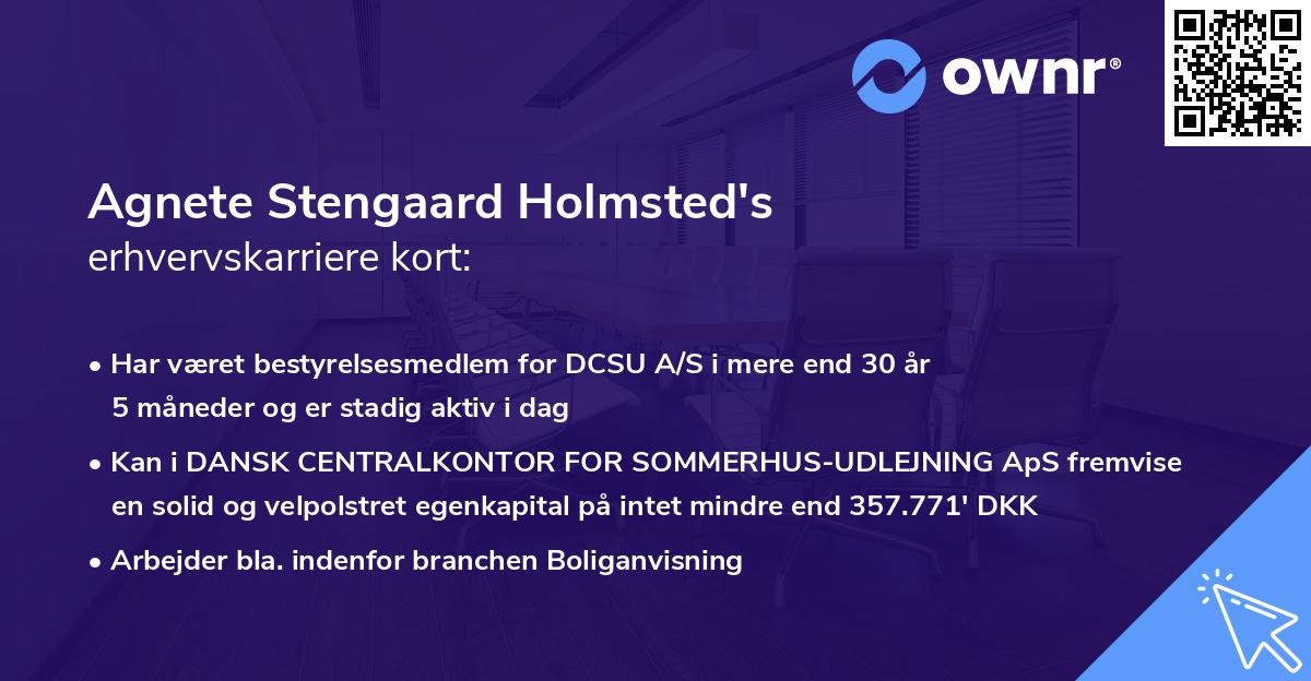 Agnete Stengaard Holmsted's erhvervskarriere kort