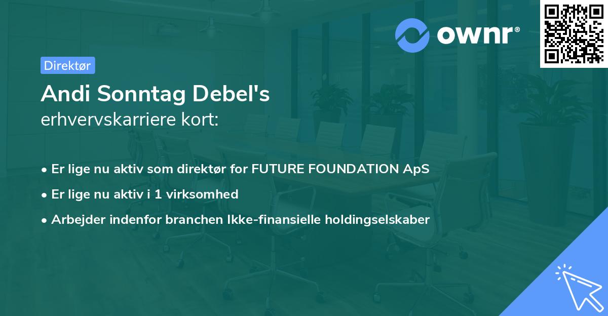 Andi Sonntag Debel's erhvervskarriere kort