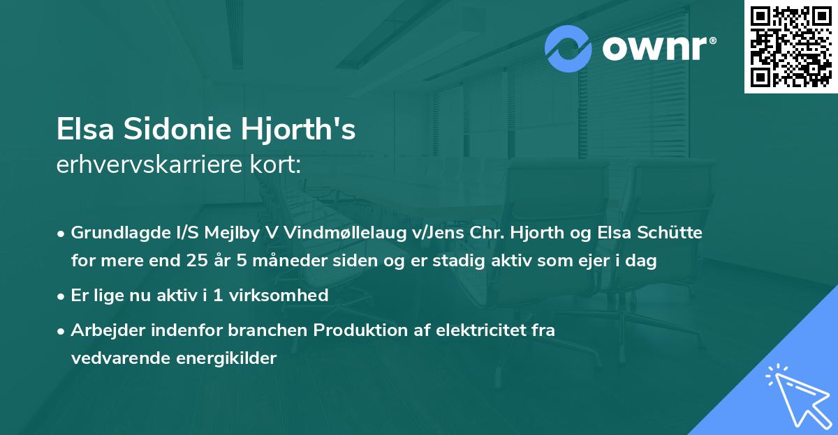 Elsa Sidonie Hjorth's erhvervskarriere kort