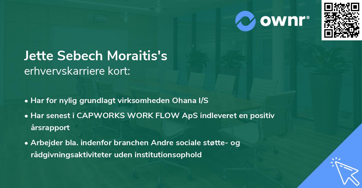 Jette Sebech Moraitis's erhvervskarriere kort