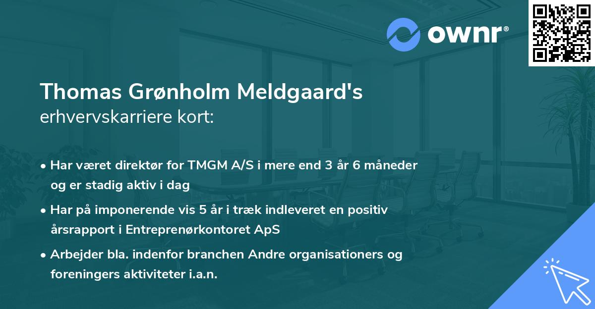 Thomas Grønholm Meldgaard's erhvervskarriere kort