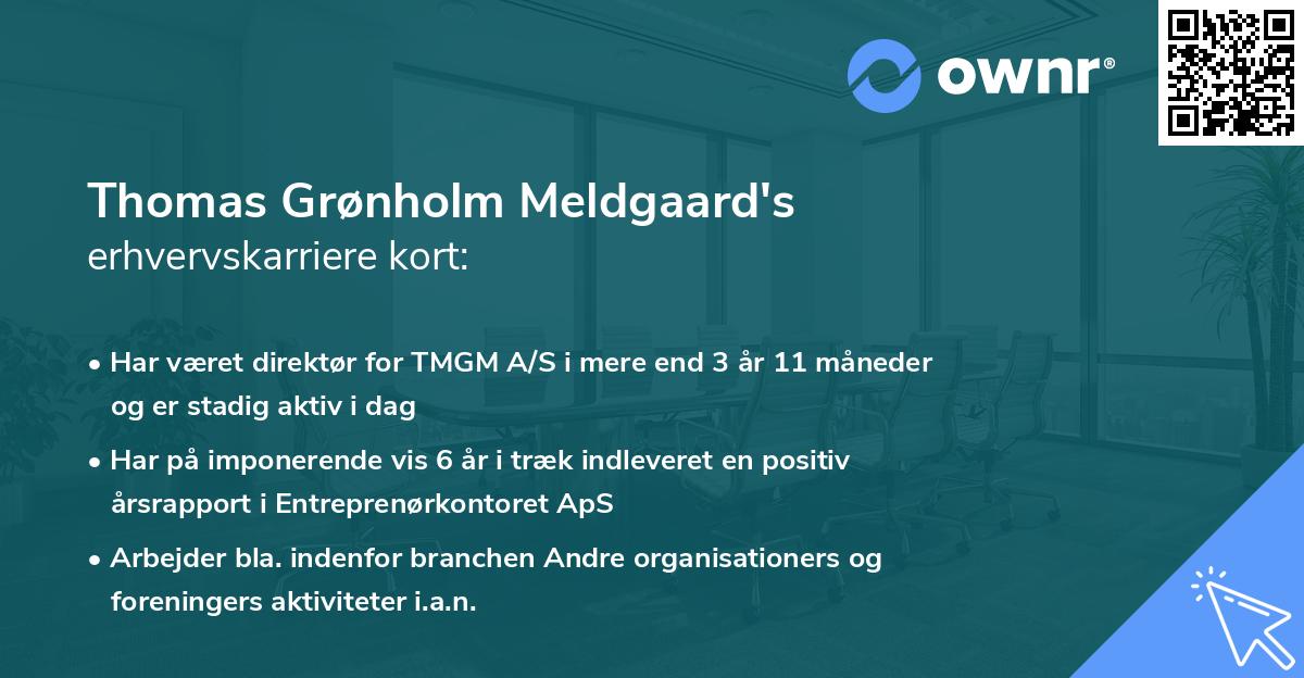 Thomas Grønholm Meldgaard's erhvervskarriere kort