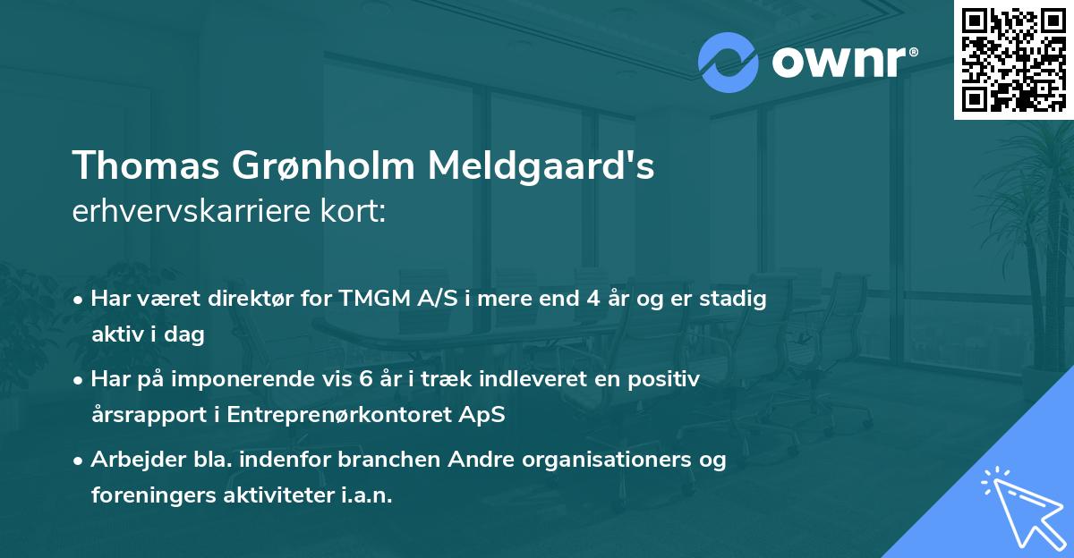 Thomas Grønholm Meldgaard's erhvervskarriere kort