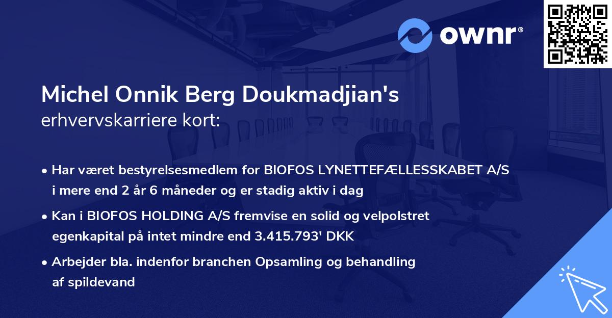 Michel Onnik Berg Doukmadjian's erhvervskarriere kort