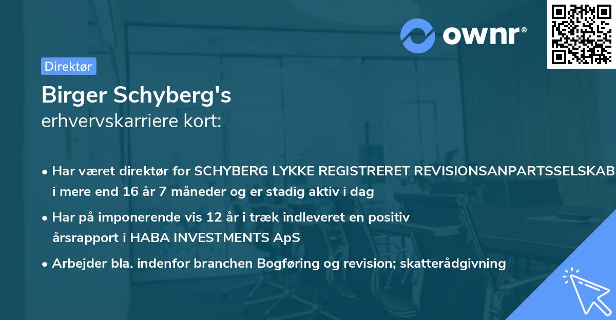 Birger Schyberg's erhvervskarriere kort