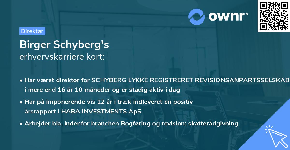 Birger Schyberg's erhvervskarriere kort