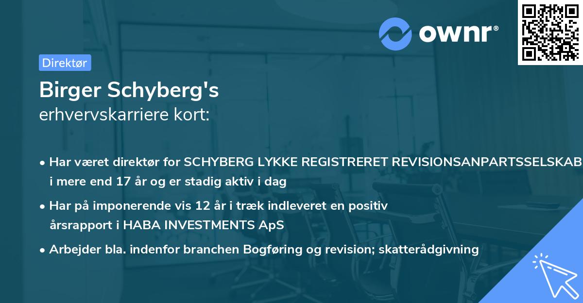 Birger Schyberg's erhvervskarriere kort