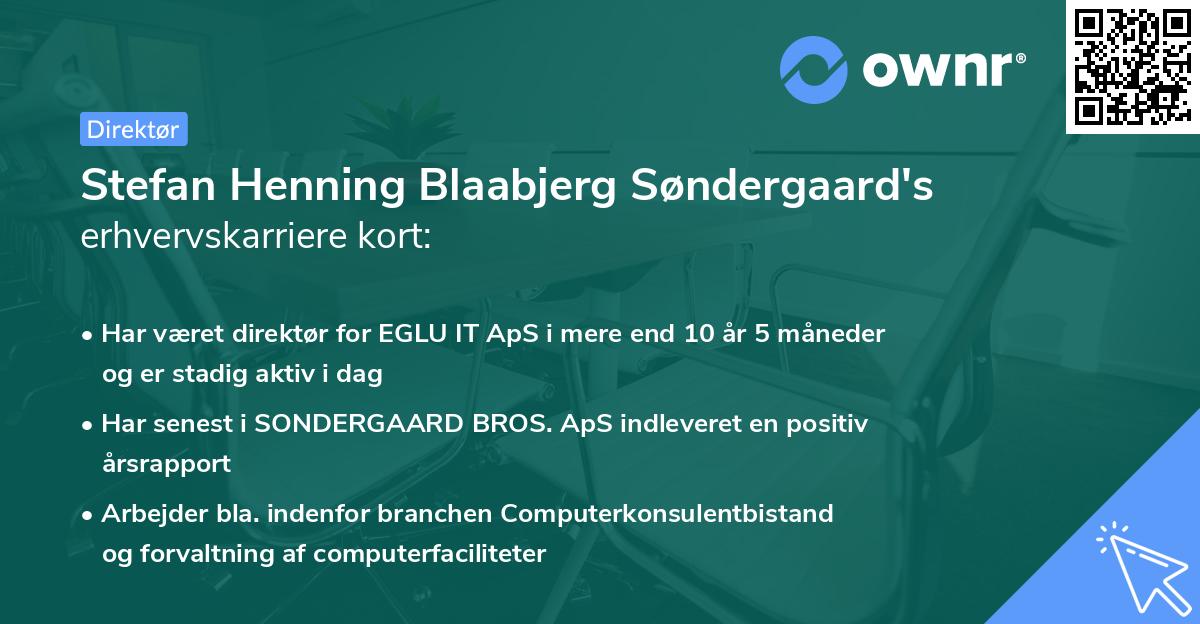 Stefan Henning Blaabjerg Søndergaard's erhvervskarriere kort