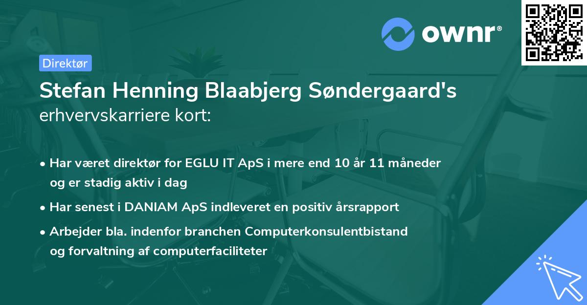 Stefan Henning Blaabjerg Søndergaard's erhvervskarriere kort