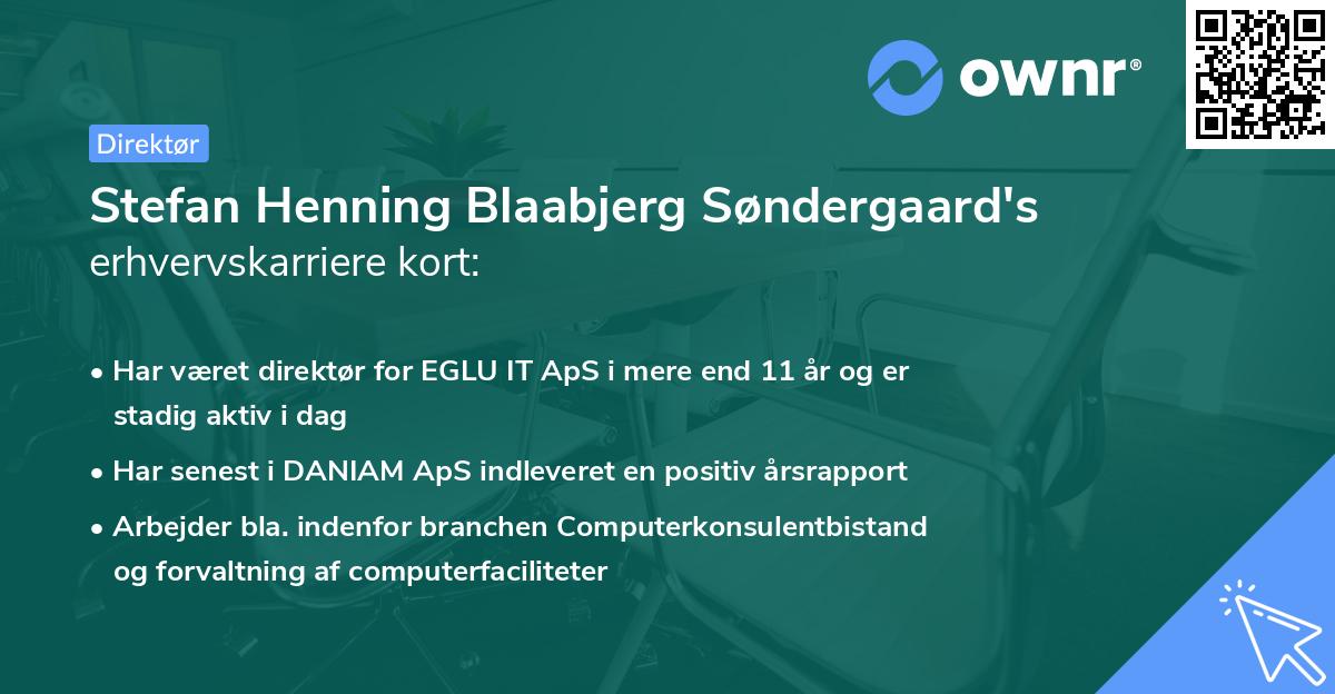 Stefan Henning Blaabjerg Søndergaard's erhvervskarriere kort