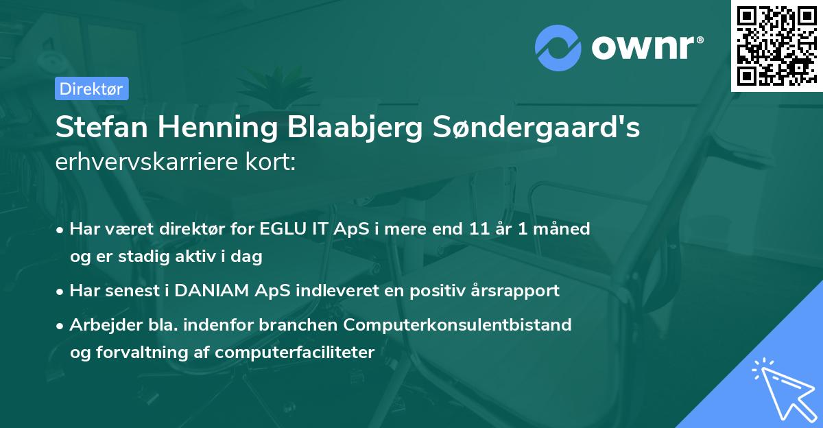 Stefan Henning Blaabjerg Søndergaard's erhvervskarriere kort