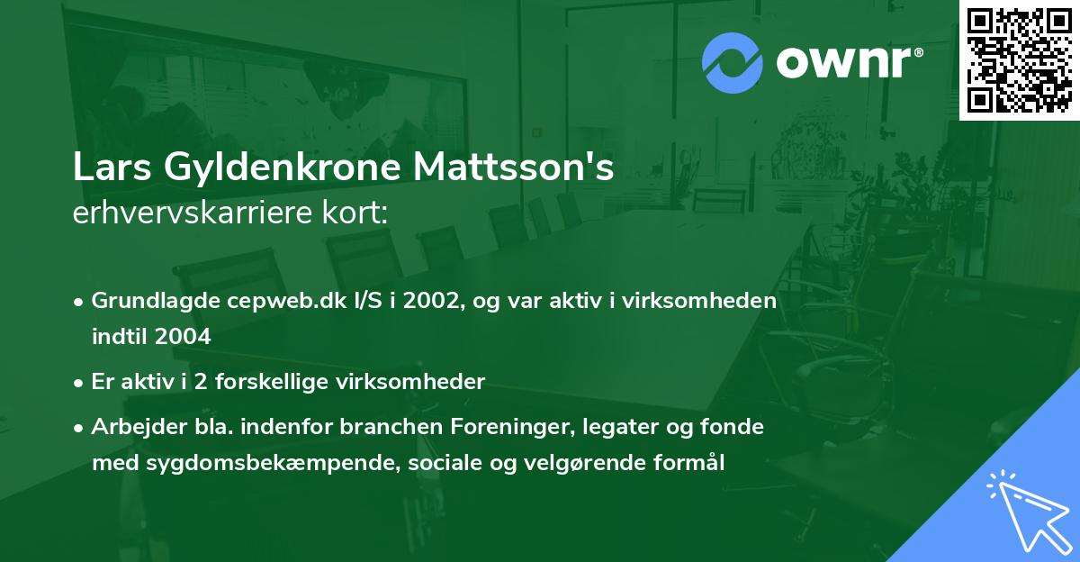 Lars Gyldenkrone Mattsson's erhvervskarriere kort