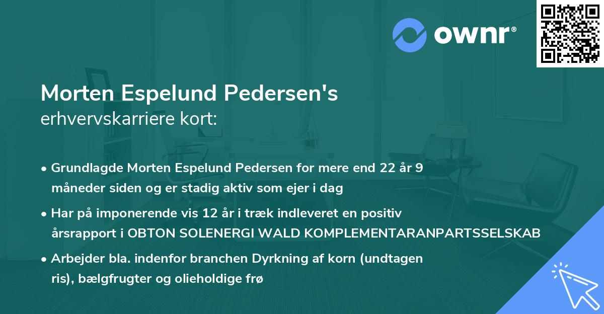 Morten Espelund Pedersen's erhvervskarriere kort