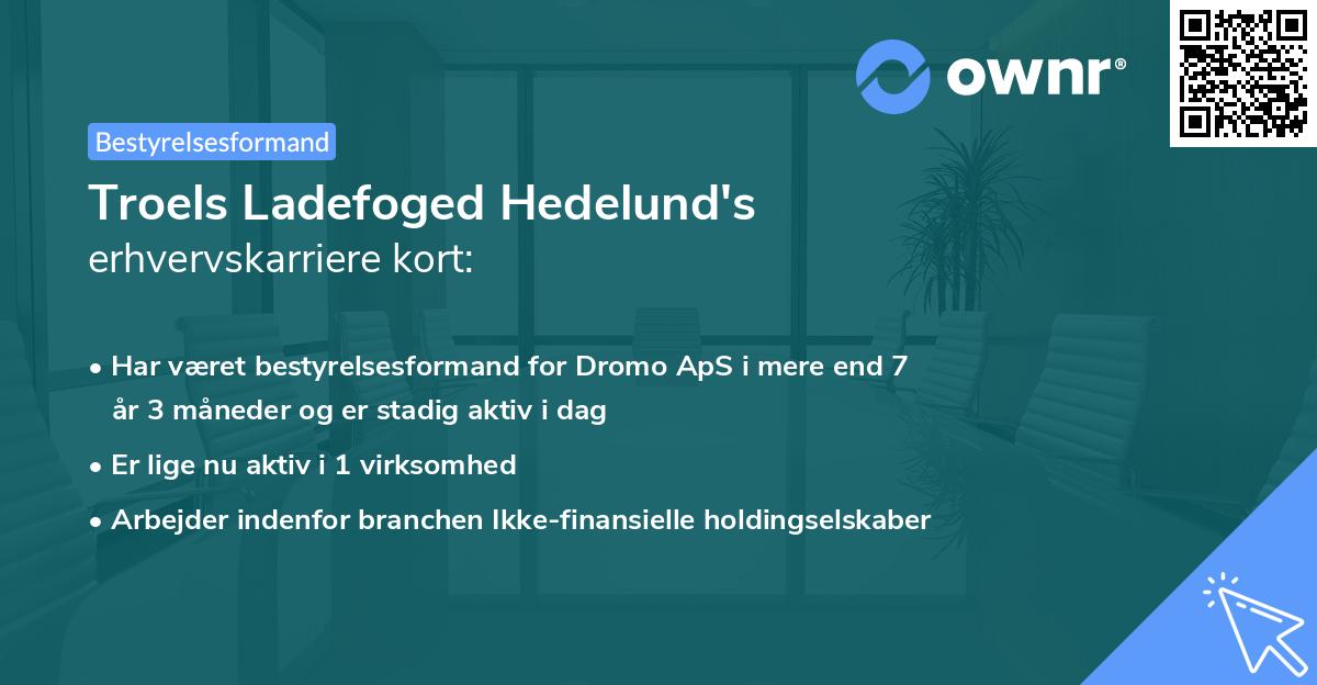 Troels Ladefoged Hedelund's erhvervskarriere kort