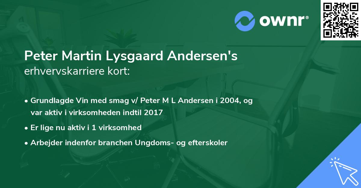 Peter Martin Lysgaard Andersen's erhvervskarriere kort