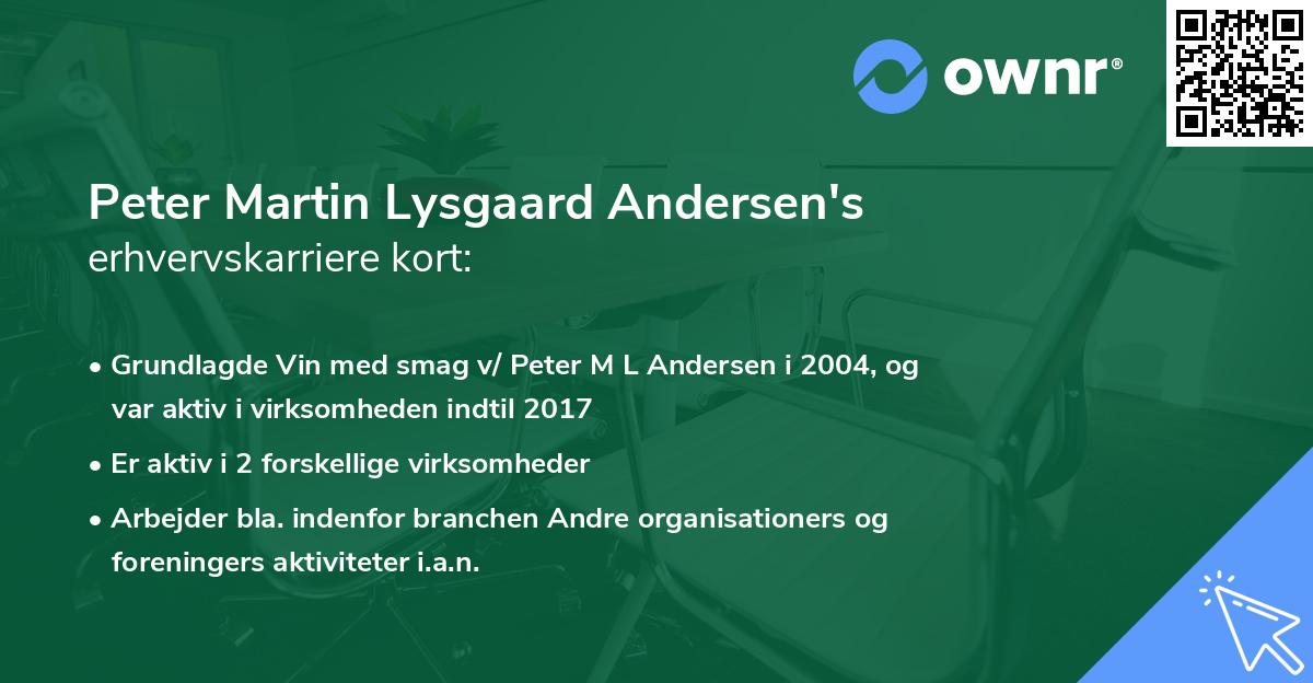 Peter Martin Lysgaard Andersen's erhvervskarriere kort