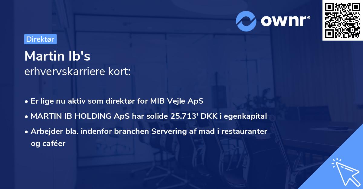 Martin Ib's erhvervskarriere kort