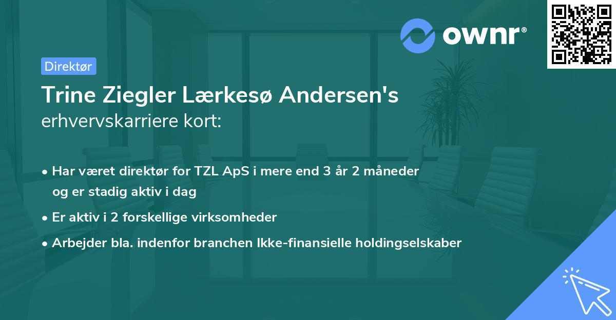 Trine Ziegler Lærkesø Andersen's erhvervskarriere kort