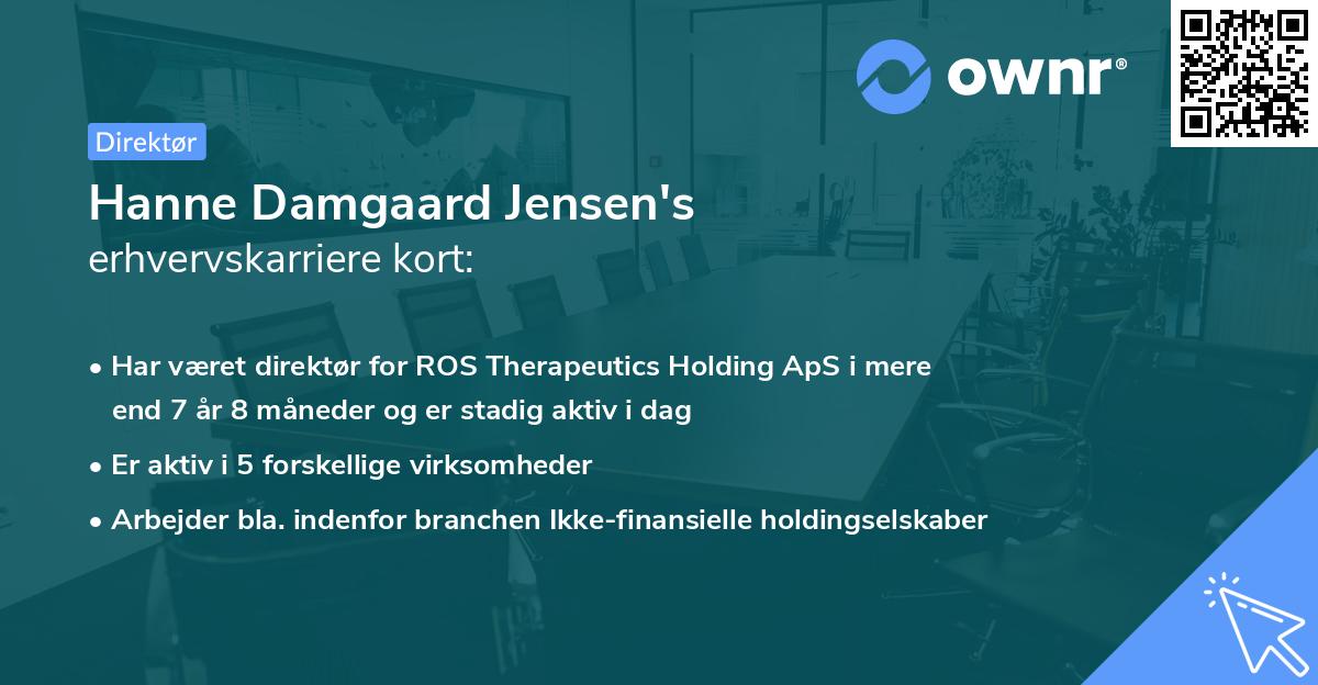 Hanne Damgaard Jensen's erhvervskarriere kort