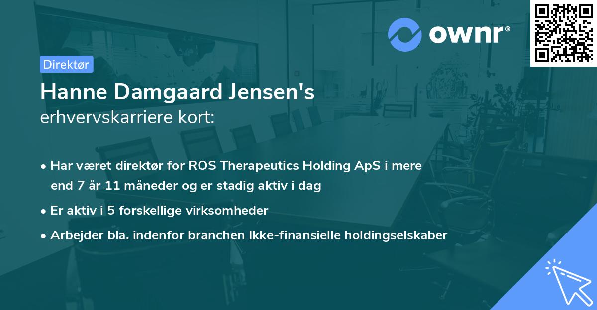 Hanne Damgaard Jensen's erhvervskarriere kort