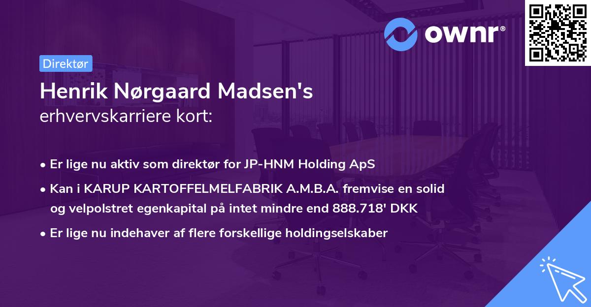 Henrik Nørgaard Madsen's erhvervskarriere kort