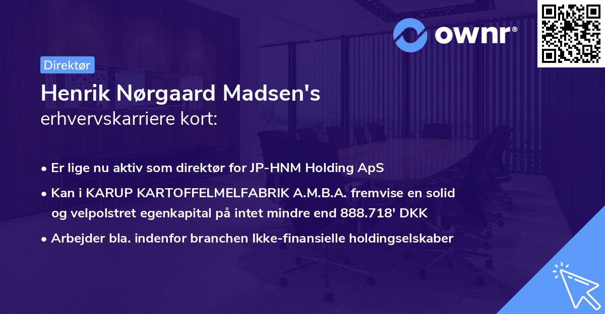 Henrik Nørgaard Madsen's erhvervskarriere kort