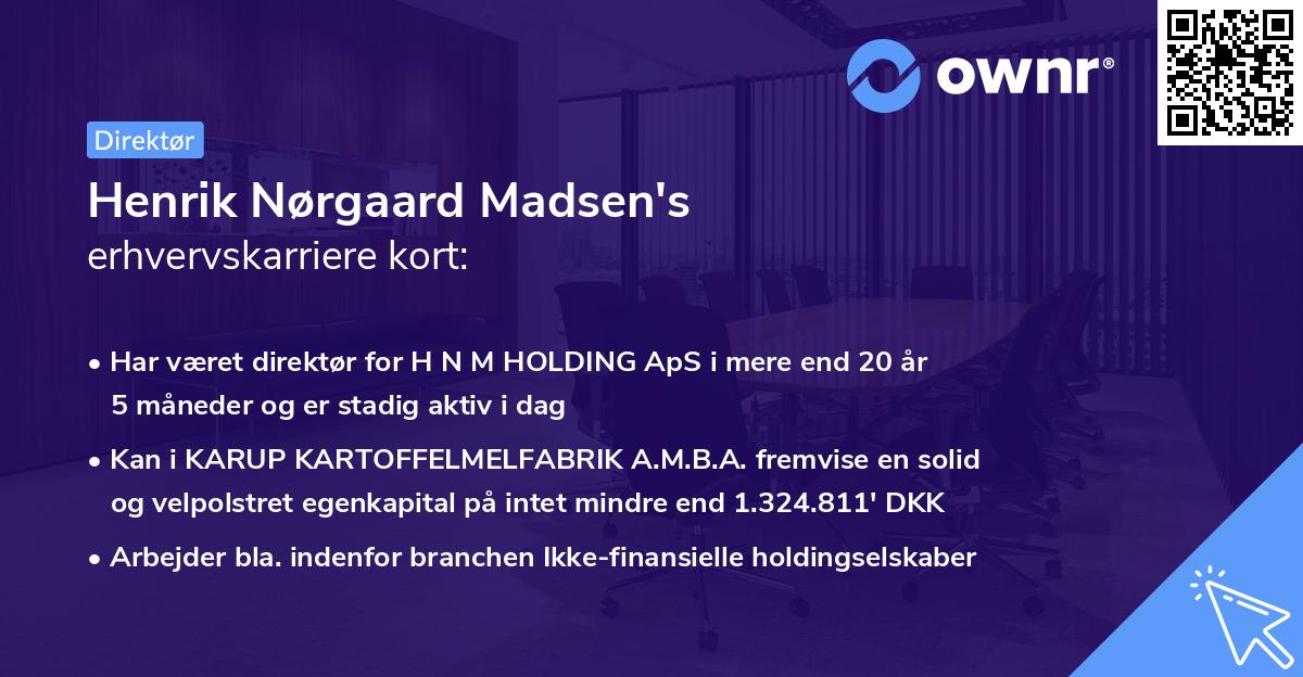 Henrik Nørgaard Madsen's erhvervskarriere kort
