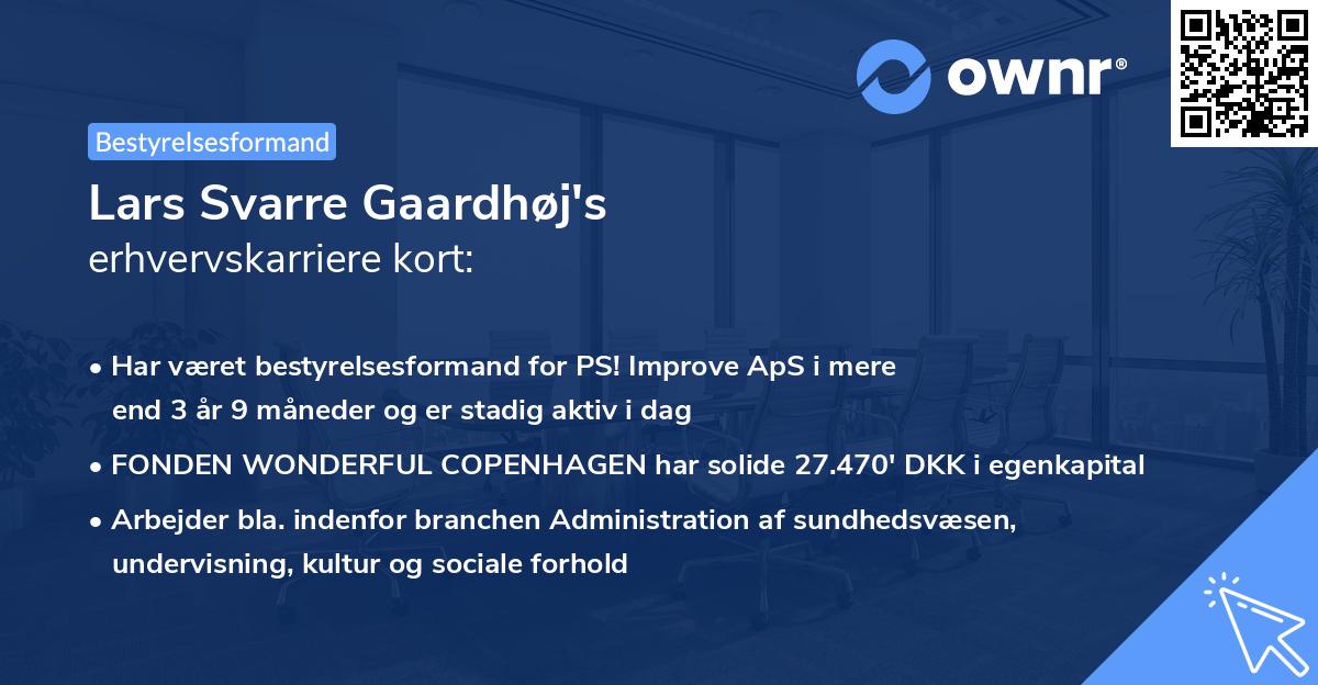 Lars Svarre Gaardhøj's erhvervskarriere kort