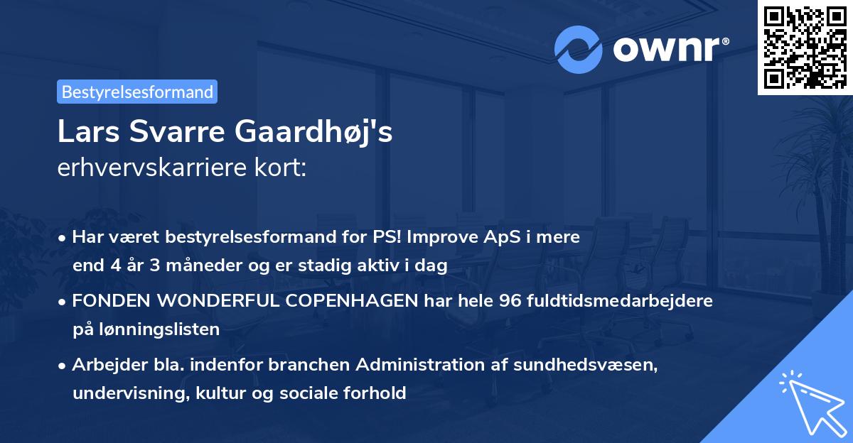 Lars Svarre Gaardhøj's erhvervskarriere kort