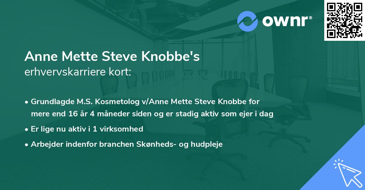 Anne Mette Steve Knobbe's erhvervskarriere kort