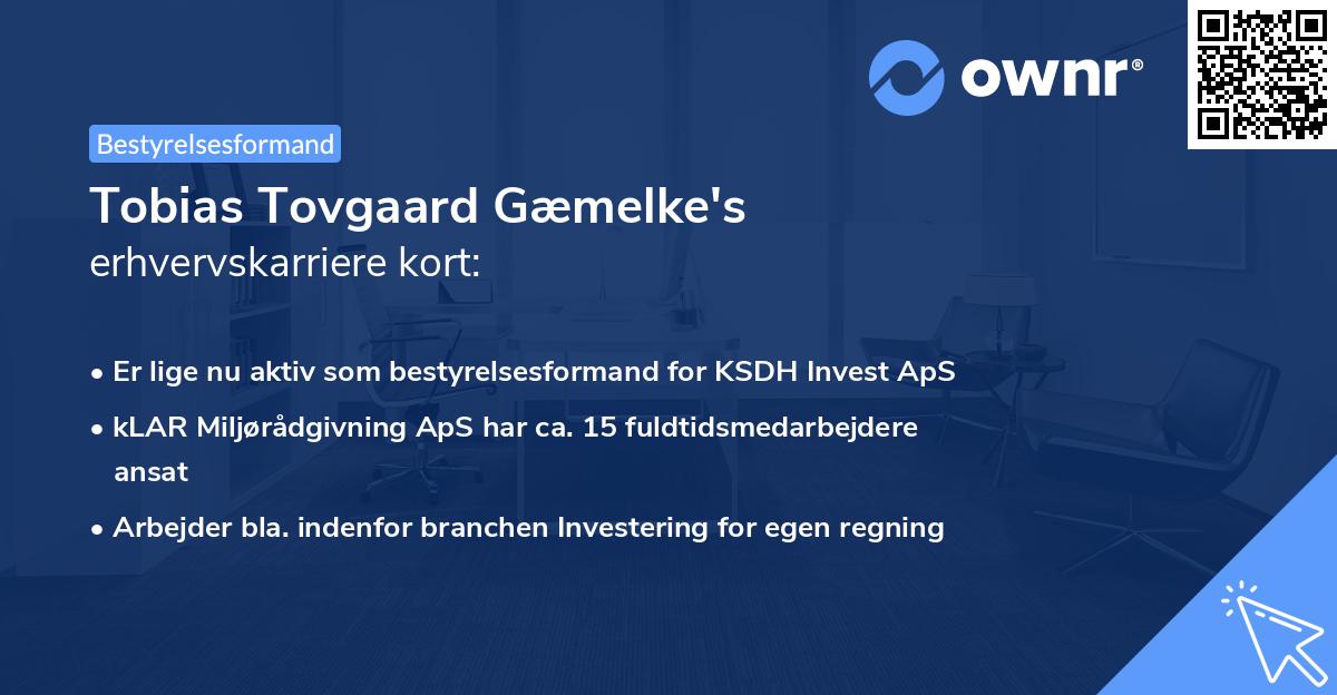 Tobias Tovgaard Gæmelke's erhvervskarriere kort
