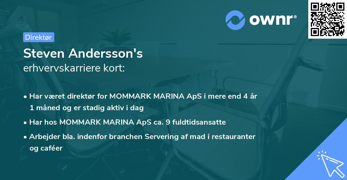 Steven Andersson's erhvervskarriere kort