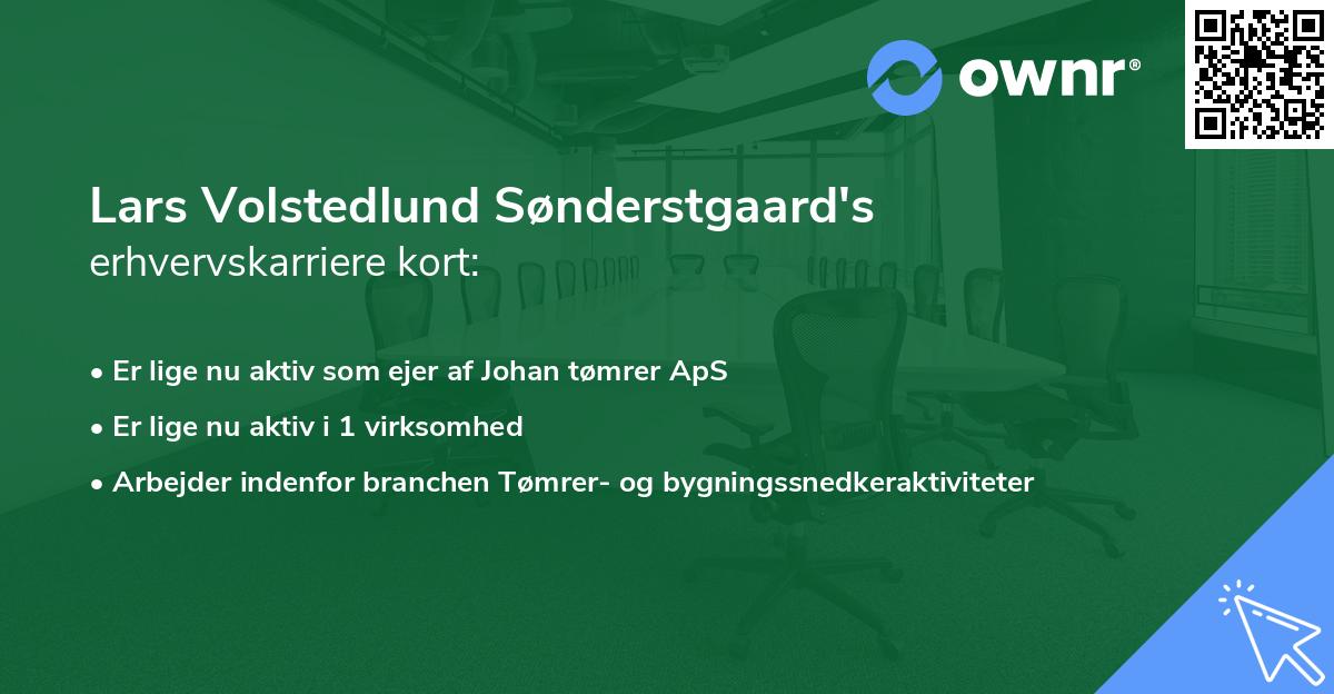 Lars Volstedlund Sønderstgaard's erhvervskarriere kort