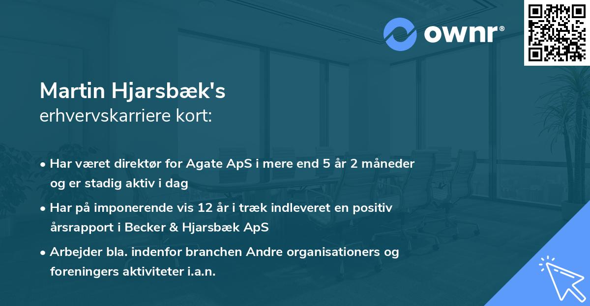 Martin Hjarsbæk's erhvervskarriere kort