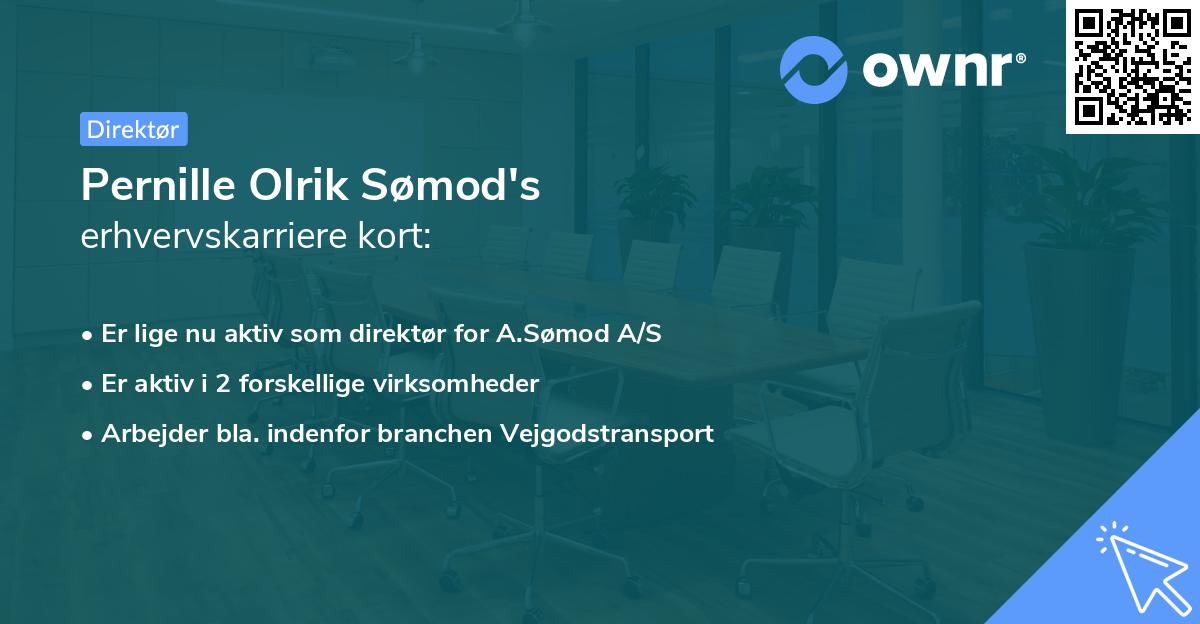 Pernille Olrik Sømod's erhvervskarriere kort
