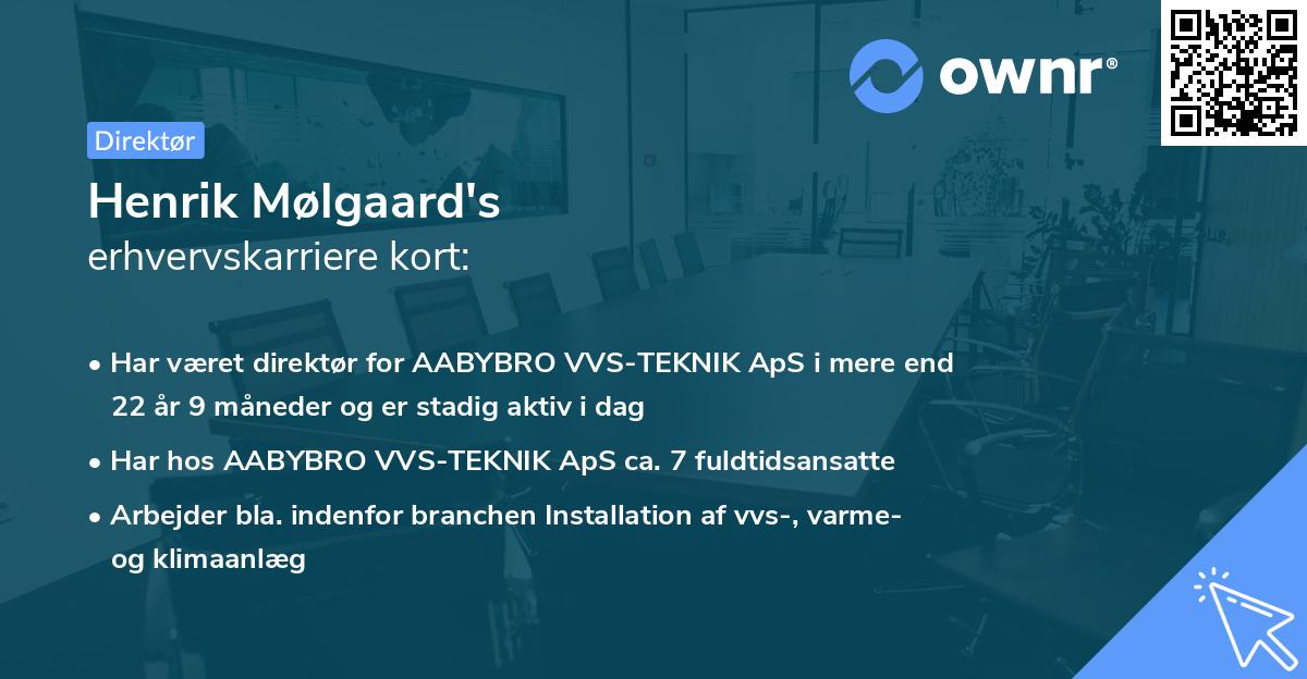 Henrik Mølgaard's erhvervskarriere kort