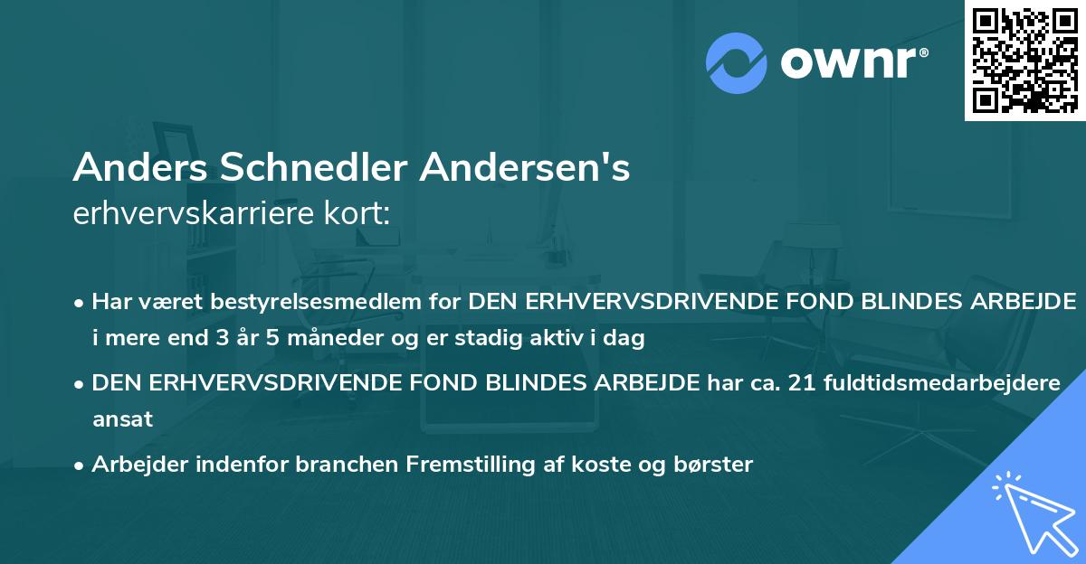 Anders Schnedler Andersen's erhvervskarriere kort