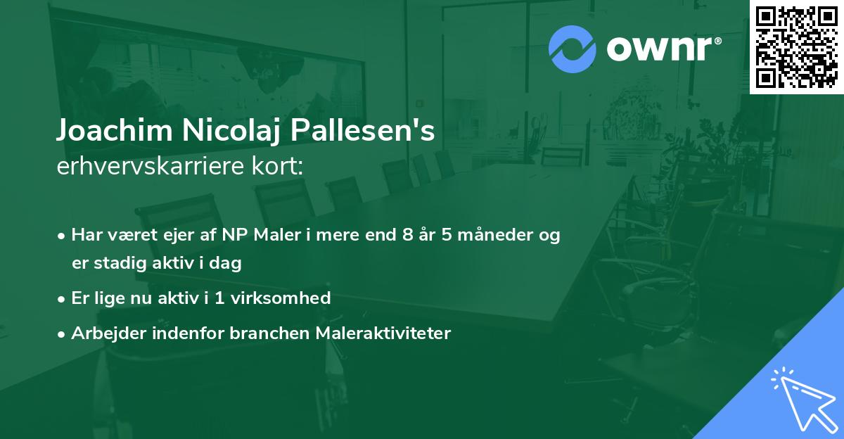 Joachim Nicolaj Pallesen's erhvervskarriere kort