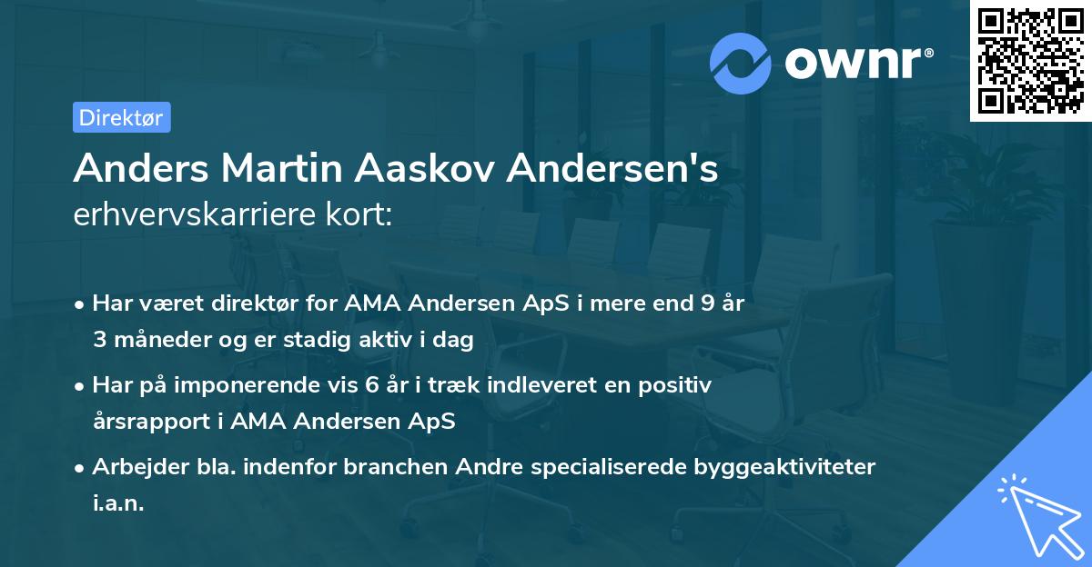 Anders Martin Aaskov Andersen's erhvervskarriere kort