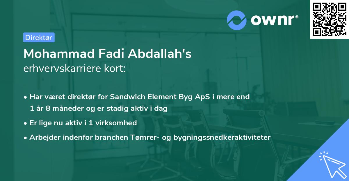 Mohammad Fadi Abdallah's erhvervskarriere kort
