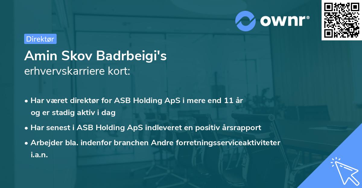 Amin Skov Badrbeigi's erhvervskarriere kort