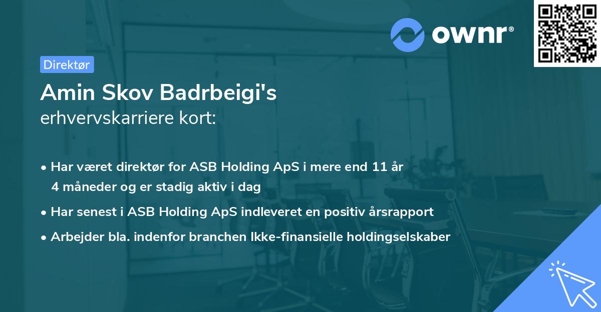 Amin Skov Badrbeigi's erhvervskarriere kort