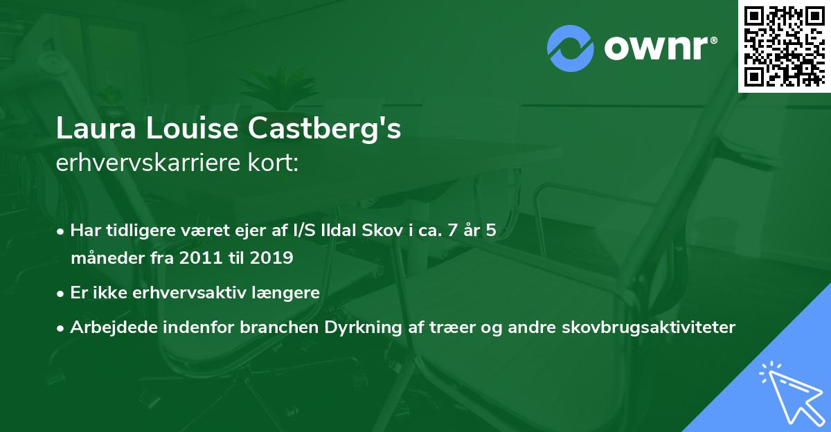 Laura Louise Castberg's erhvervskarriere kort