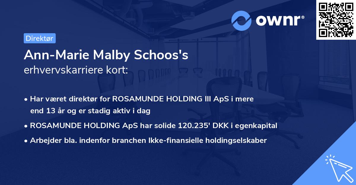Ann-Marie Malby Schoos's erhvervskarriere kort