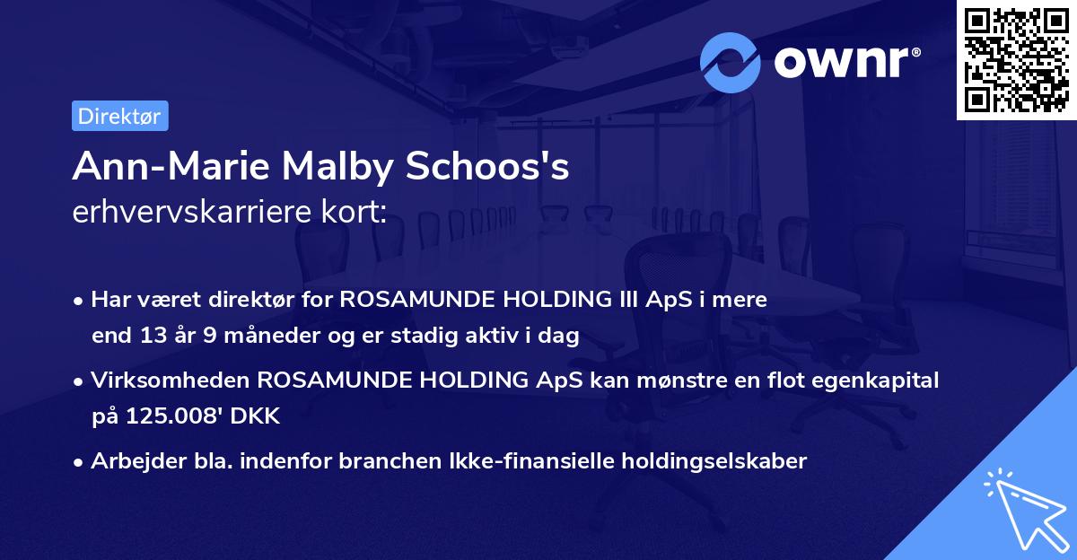 Ann-Marie Malby Schoos's erhvervskarriere kort