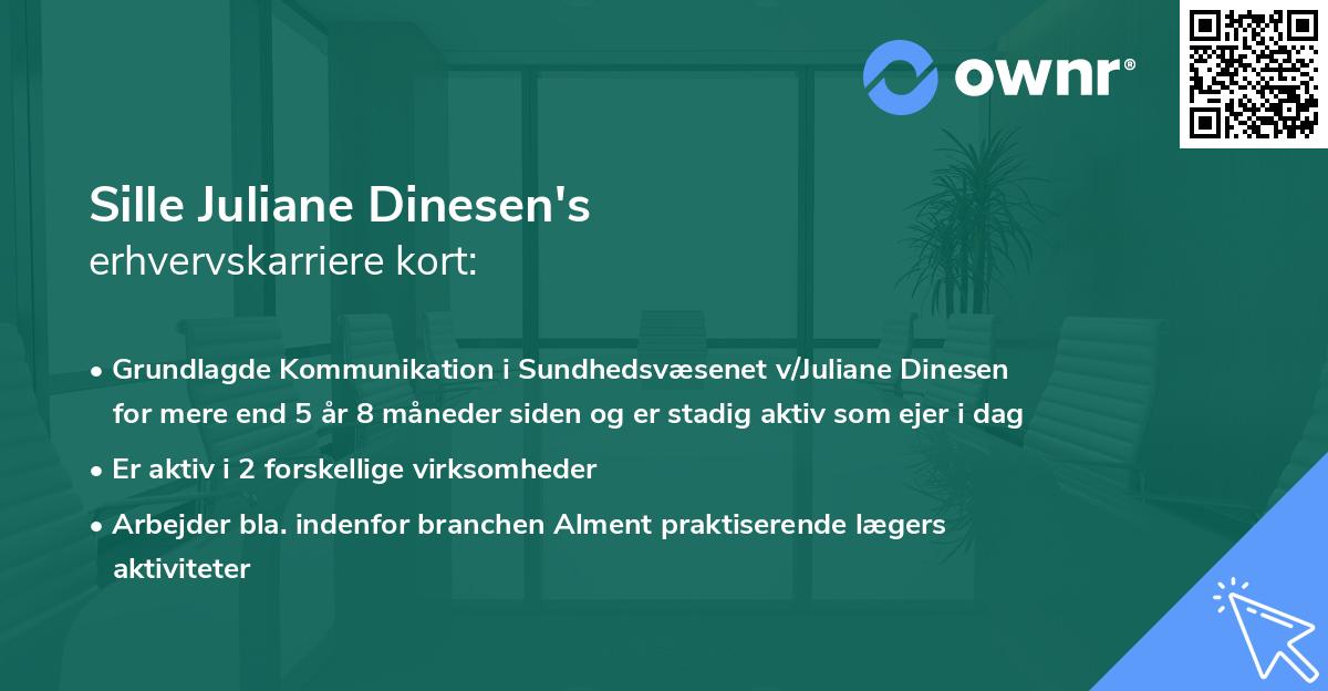 Sille Juliane Dinesen's erhvervskarriere kort