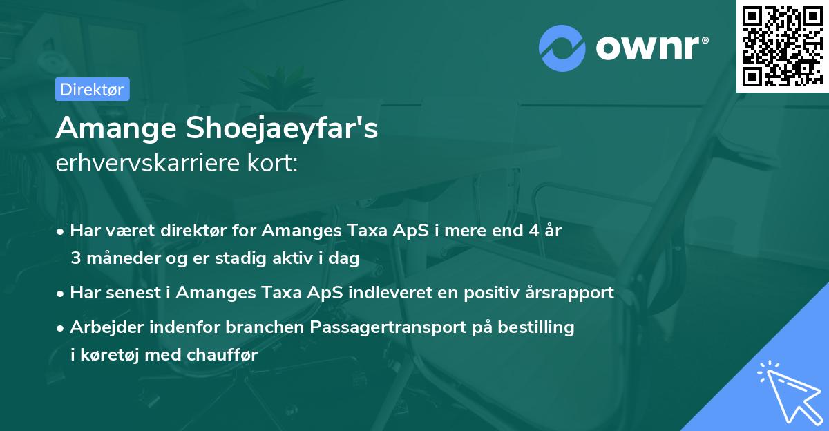 Amange Shoejaeyfar's erhvervskarriere kort