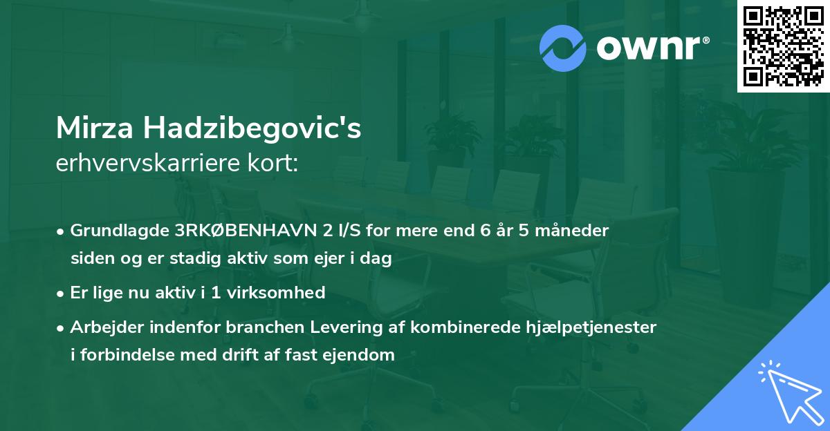 Mirza Hadzibegovic's erhvervskarriere kort